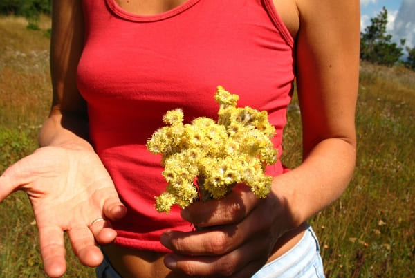 Избавление от мастопатий