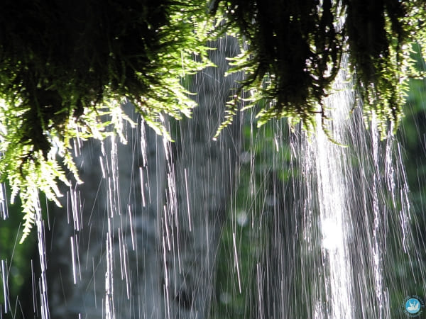 Врачевание речью