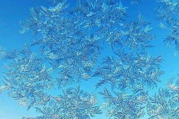 ЭВОЛЮЦИЯ ПОНИМАНИЯ, повествование тринадцатое