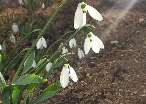 Возврат внутреннего задора. Возврат внутренней живости.